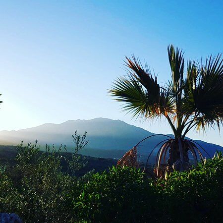 Restaurante Las Mayoralas