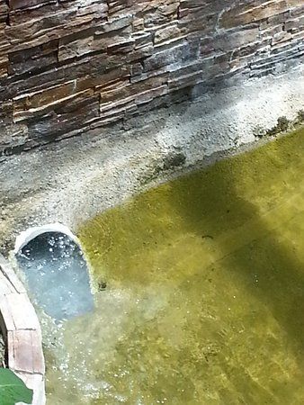 el Centro Comercial La Trocha