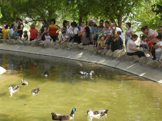Parque de San Benito
