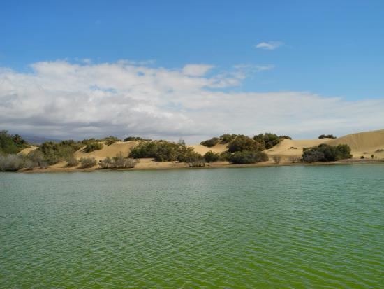 La Charca Mas Palomas