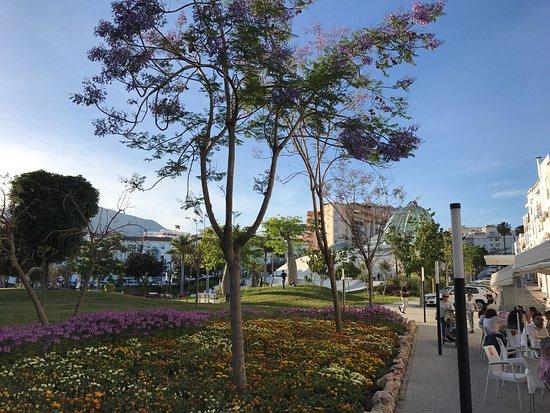 Cafeteria Las Orquideas