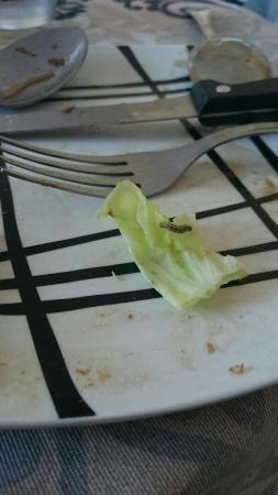 Restaurante Chino La Alegría