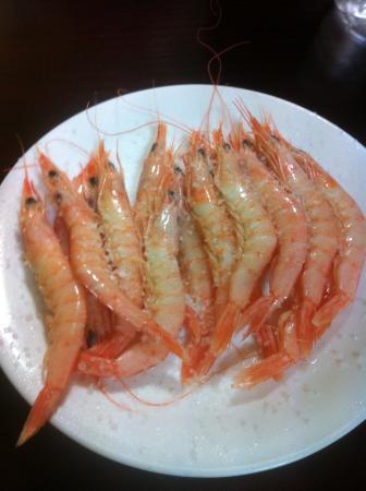 Cervezeria la Aficion