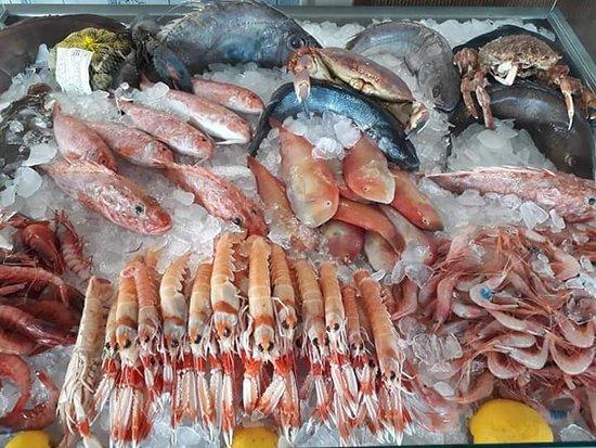 Maui Gastro & Maui Port Garrucha