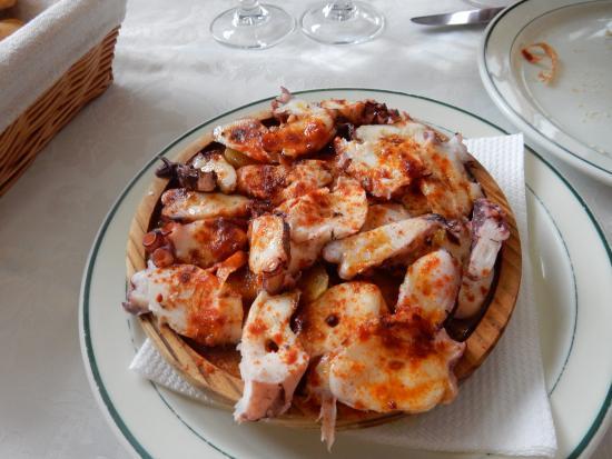 El Puerto De Los Arbolitos