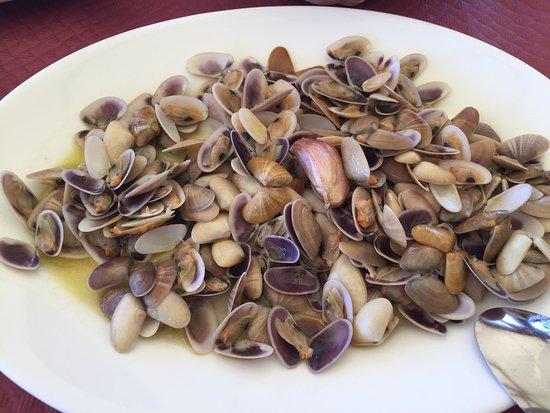 Chiringuito Del Brizo