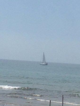 Bar restaurante triana