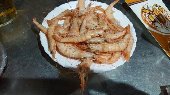 Cervecería Santa Lucía