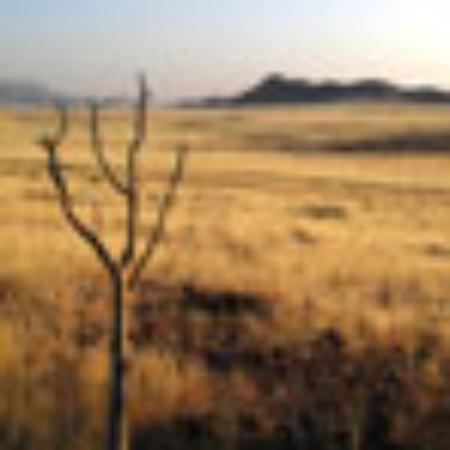 Bar Cerveceria La Habana