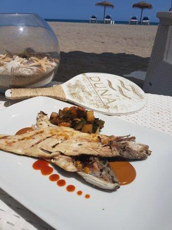 DUNA loungers & restaurant