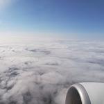 Cervecería La Cigala