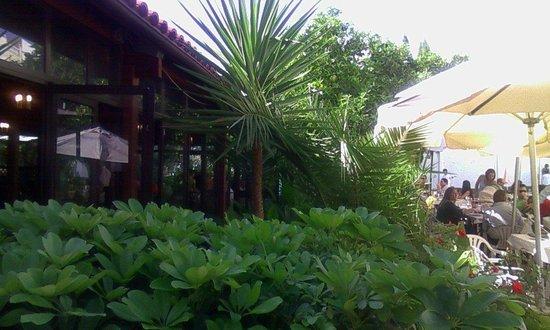 La Grama Del Barrero