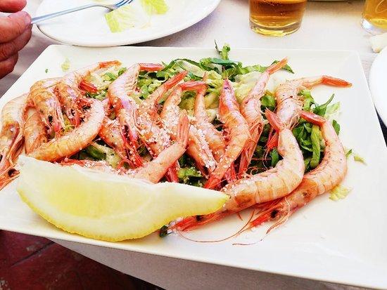 Marisquería Cervecería Zampa Gamba