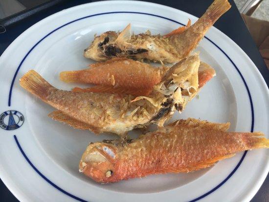 Real Club Nautico de Adra