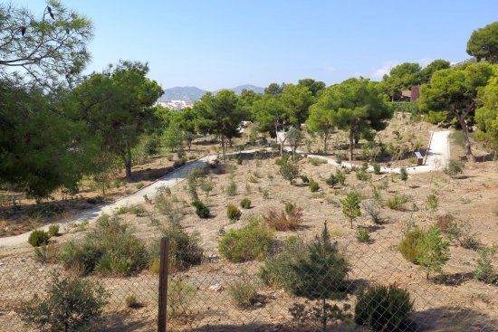 el Jardín Botánico Detunda