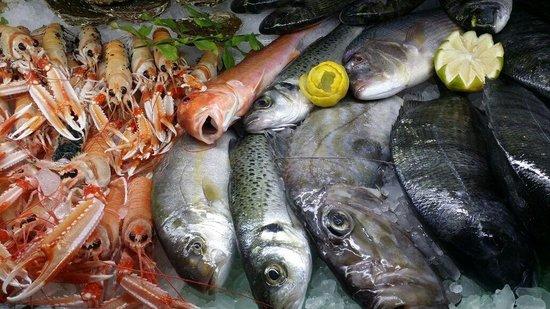 El Pescaito de Armilla