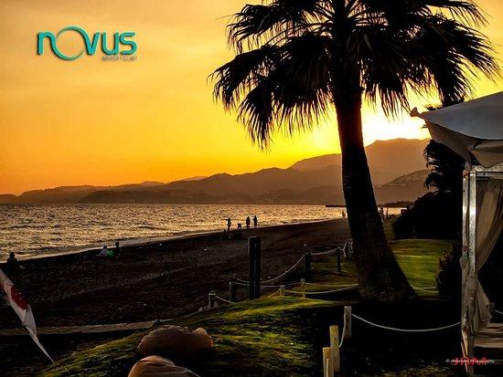 Novus Beach Club