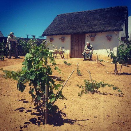 el Museo Del Moscatel