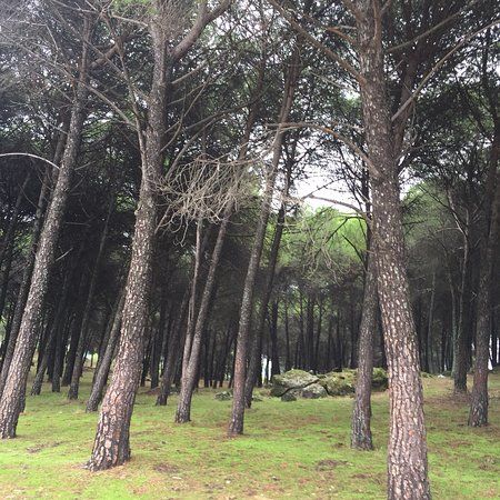 Camino Virgen de la Cabeza