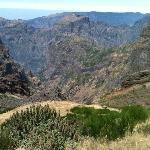Bar Cafeteria El Lago