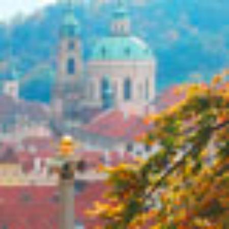 Cafeteria Mariposario