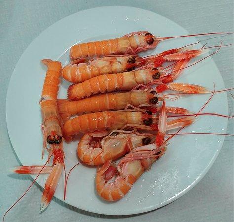 La casa del Pescaito