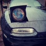 Restaurante Terraza Pozoalbero