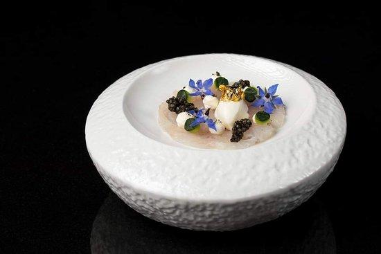 Fusion by Sylvio Santogiacomo