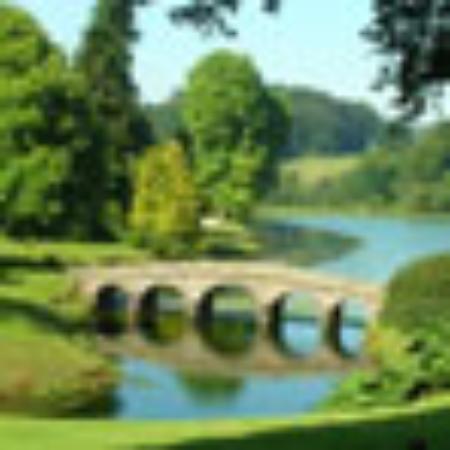 El paraiso del canuelo