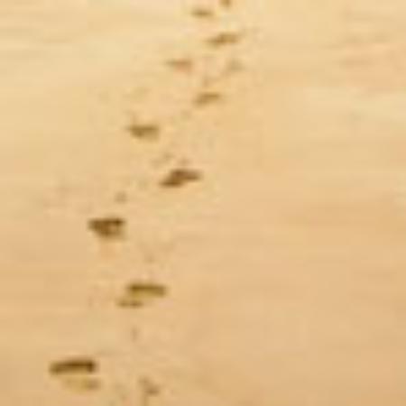 Meson La Antigua Fonda