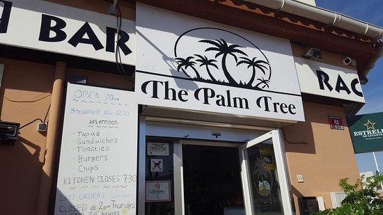 The Palm Tree