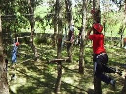 Bosque Suspendido - Parque de Aventuras en los Árboles