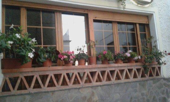 Bar Terraza El Correillo