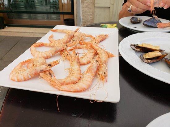 Cervecería Puerto Plata