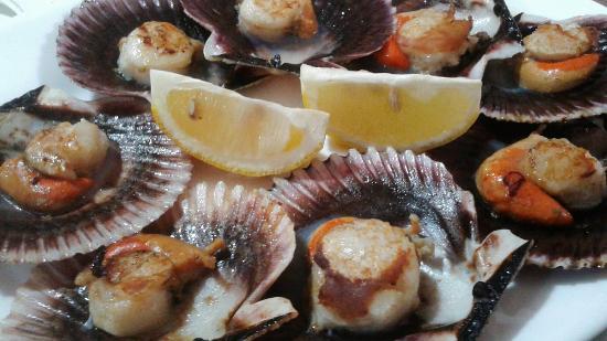 Cerveceria El Puerto