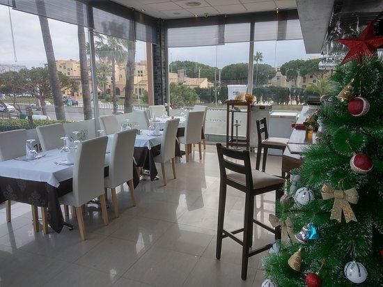 Coriander Indian-Mexican