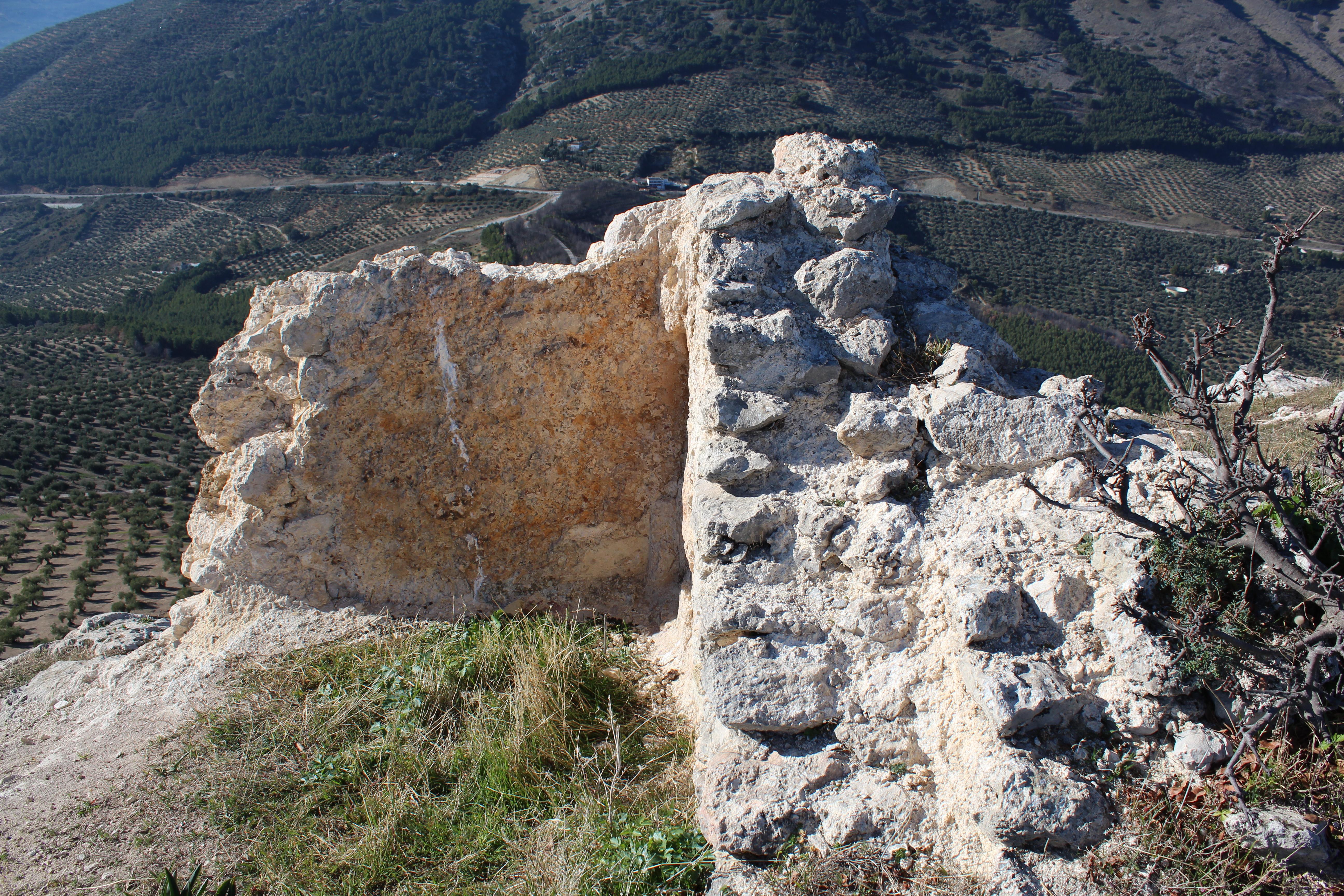 Castillo de Pedro Codes