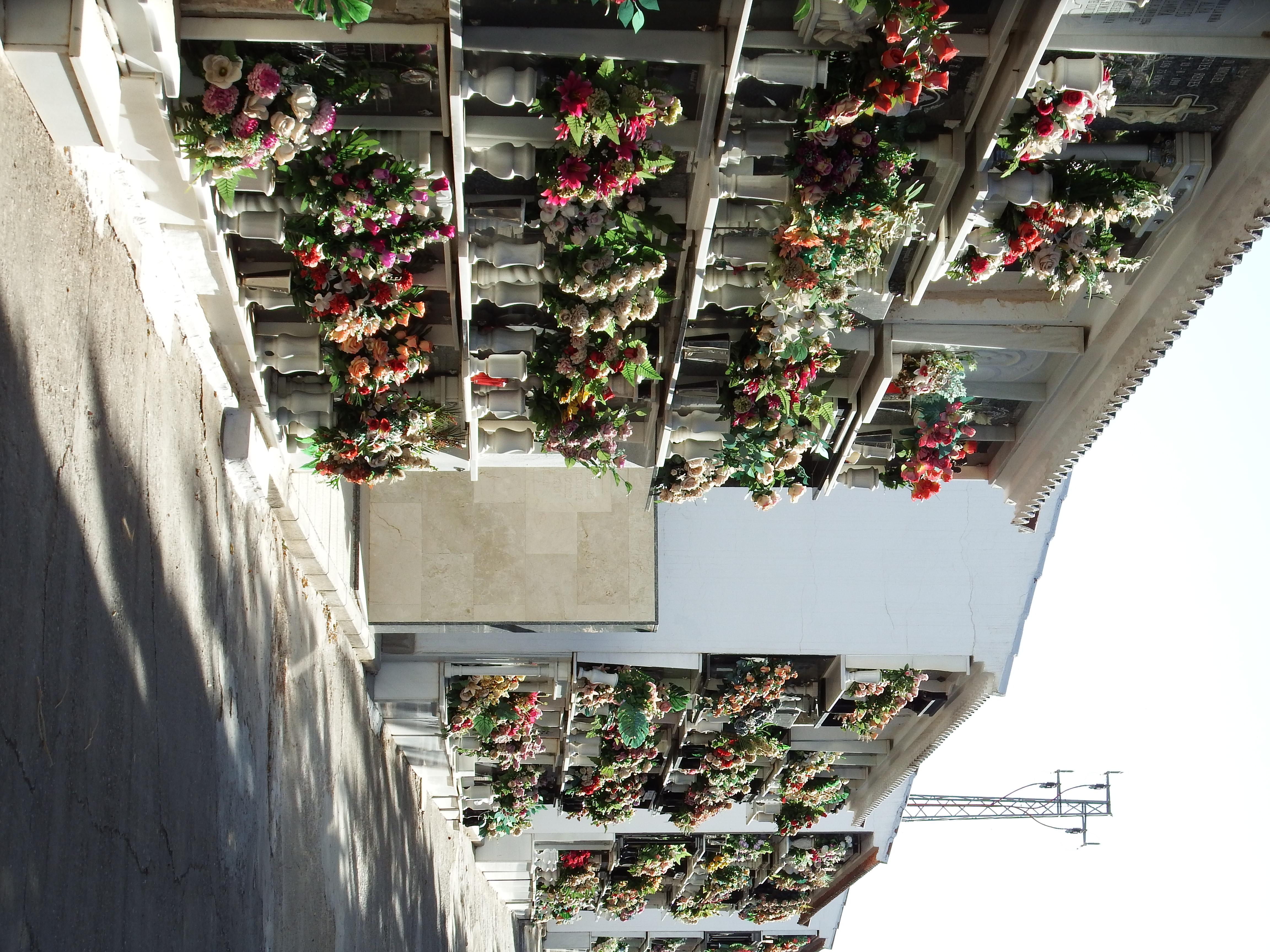 Cementerio Municipal