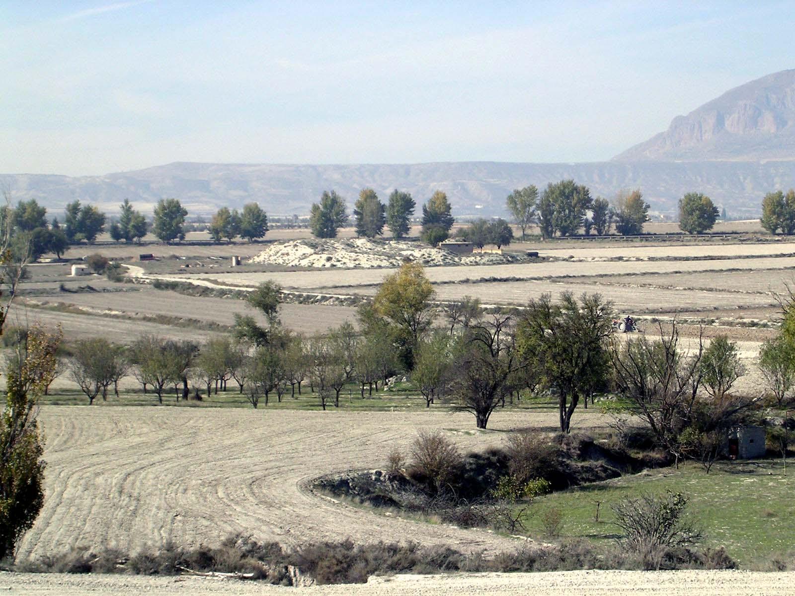 Ciudad iberorromana de Basti