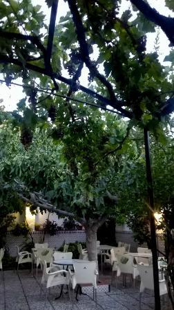 Cafe Bar Los Frutales. Casa Antonio