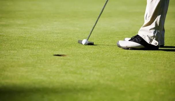 Los Flamingos Golf Club