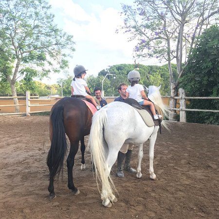 Centro Ecuestre Las Marías