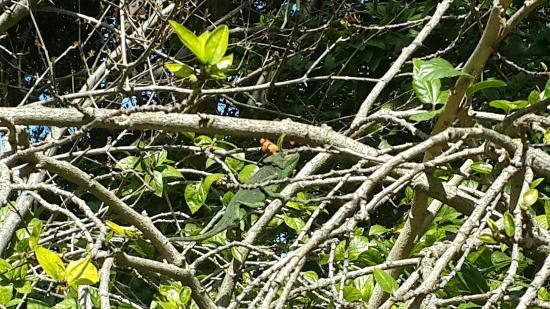 el Jardín Botánico San Fernando