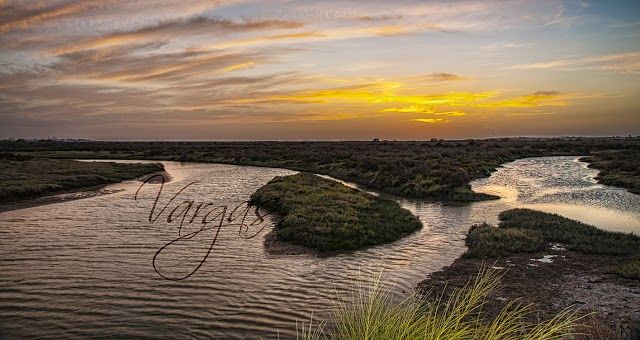 Parque Natural Los Toruños