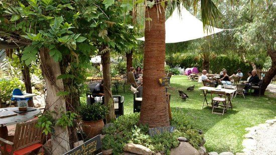 el jardín de té Orgiva