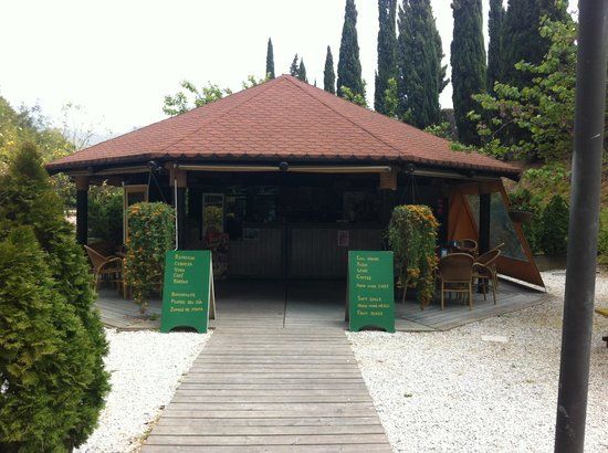 Cafetería Jardín Botánico La Concepción