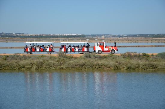 Las Marismas de Odiel